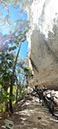 %_tempFileNameAus17-18%20Carnarvon%20Gorge-40%