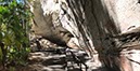 %_tempFileNameAus17-18%20Carnarvon%20Gorge-45%