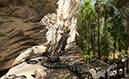 %_tempFileNameAus17-18%20Carnarvon%20Gorge-54%