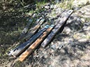 %_tempFileNameAus17-18%20Carnarvon%20Gorge-57%