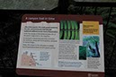 %_tempFileNameAus17-18%20Carnarvon%20Gorge-65%