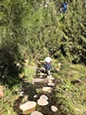 %_tempFileNameAus17-18%20Carnarvon%20Gorge-68%