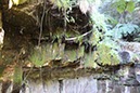 %_tempFileNameAus17-18%20Carnarvon%20Gorge-75%