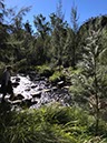 %_tempFileNameAus17-18%20Carnarvon%20Gorge-79%