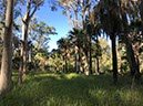 %_tempFileNameAus17-18%20Carnarvon%20Gorge-80%