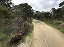 %_tempFileNameAus17-26%20Swanbourne-05%
