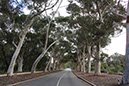 %_tempFileNameAus17-04%20Kings%20park-76%