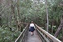 %_tempFileNameAus17-07%20Boreen%20Point%20walk-28%