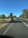 %_tempFileNameAus17-19%20Naar%20Stanthorpe-2%