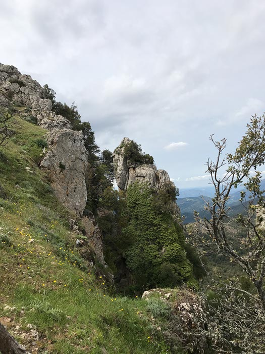 %_tempFileNameSard04-Monte%20Fumai-24%