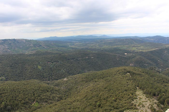 %_tempFileNameSard04-Monte%20Fumai-37%