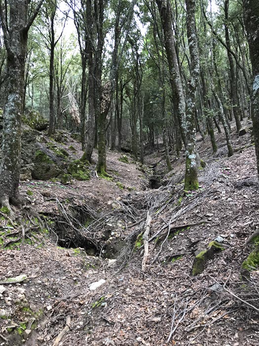 %_tempFileNameSard04-Monte%20Fumai-47%