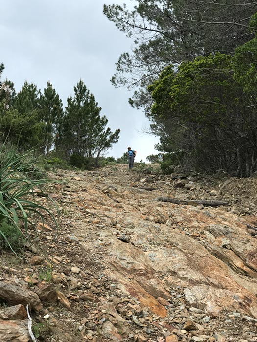 %_tempFileNameSard06-Parc%20S%20Barbara-39%