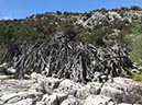 %_tempFileNameSard08-Tiscali-19%