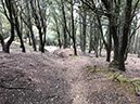 %_tempFileNameSard04-Monte%20Fumai-46%