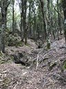 %_tempFileNameSard04-Monte%20Fumai-47%