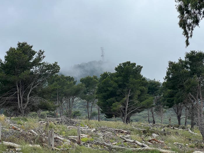 %_tempFileNameSicilie07-Monte%20Pellegrino-05%
