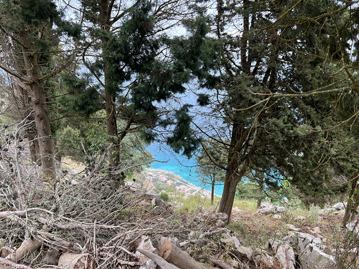 %_tempFileNameSicilie07-Monte%20Pellegrino-46%