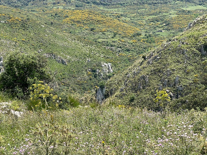 %_tempFileNameSicilie10-Monte%20Rotondo-13-1%
