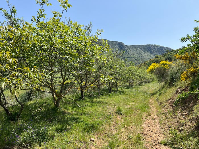 %_tempFileNameSicilie10-Monte%20Rotondo-18-1%