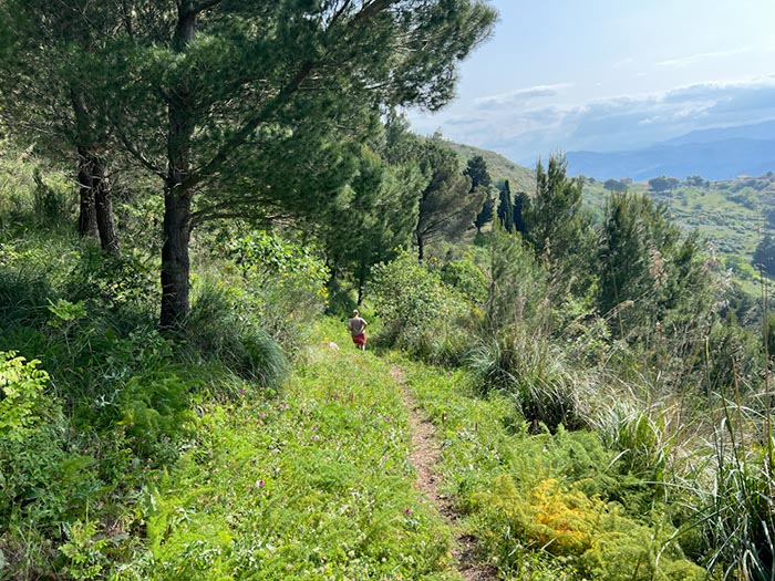 %_tempFileNameSicilie10-Monte%20Rotondo-44-1%
