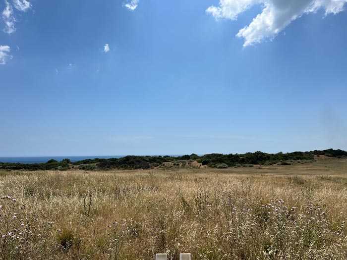 %_tempFileNameSicilie14-Selinunte-50%