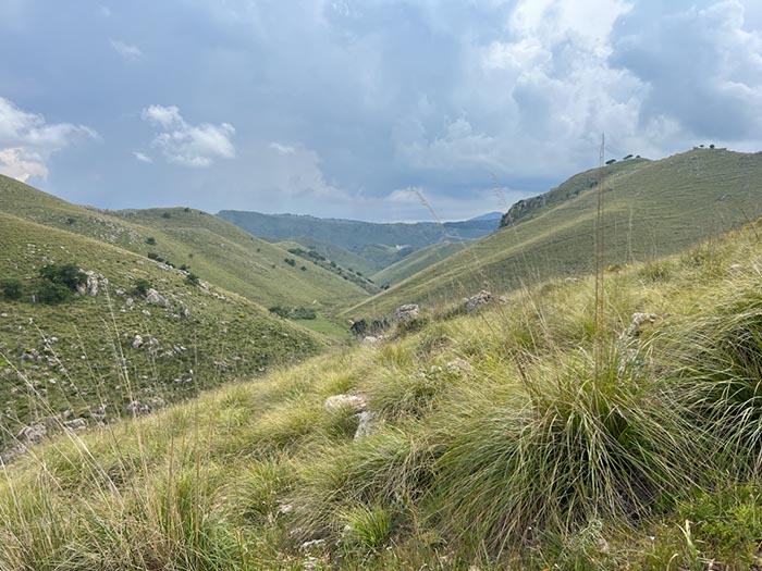%_tempFileNameSicilie15-Orecchiuta-27%