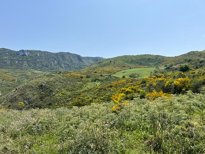 %_tempFileNameSicilie10-Monte%20Rotondo-12-1%