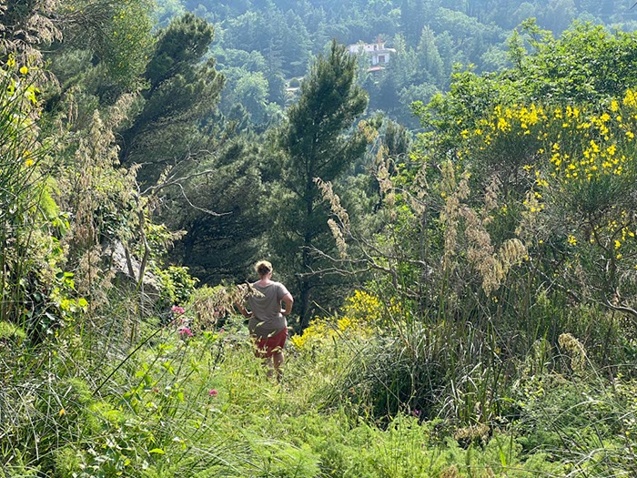 %_tempFileNameSicilie10-Monte%20Rotondo-48-1%
