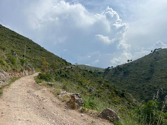 %_tempFileNameSicilie15-Orecchiuta-21%