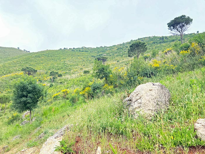%_tempFileNameSicilie15-Orecchiuta-44%