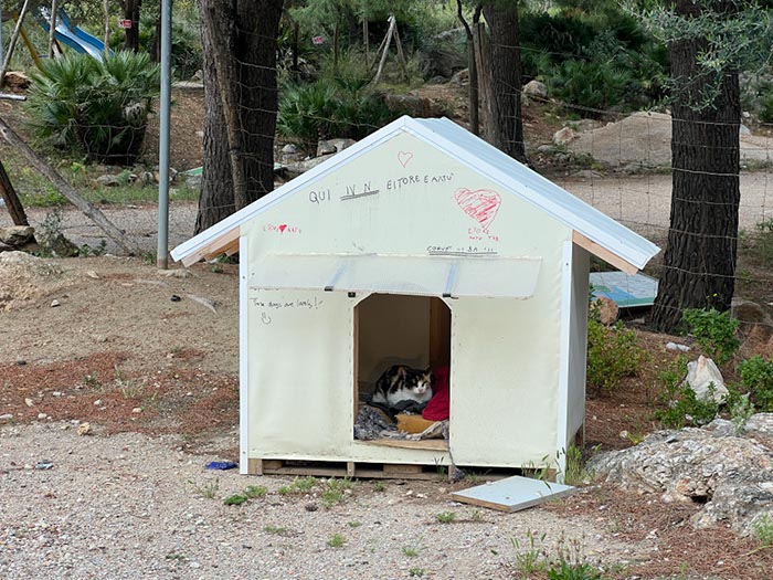 %_tempFileNamesicilie05-Monte%20Catalfano-22%