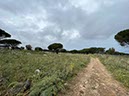 %_tempFileNameSicilie07-Monte%20Pellegrino-09%