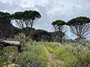 %_tempFileNameSicilie07-Monte%20Pellegrino-12%