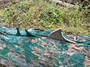 %_tempFileNameSicilie07-Monte%20Pellegrino-16%