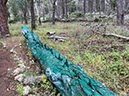 %_tempFileNameSicilie07-Monte%20Pellegrino-17%