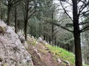 %_tempFileNameSicilie07-Monte%20Pellegrino-34%