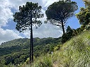 %_tempFileNameSicilie08-San%20Martino-10%