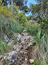 %_tempFileNameSicilie08-San%20Martino-13%