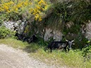 %_tempFileNameSicilie08-San%20Martino-27%