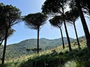 %_tempFileNameSicilie08-San%20Martino-33%