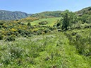 %_tempFileNameSicilie10-Monte%20Rotondo-14-1%