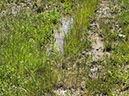 %_tempFileNameSicilie10-Monte%20Rotondo-15-1%