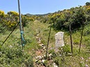 %_tempFileNameSicilie10-Monte%20Rotondo-17-1%