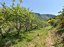 %_tempFileNameSicilie10-Monte%20Rotondo-18-1%