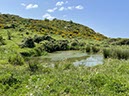 %_tempFileNameSicilie10-Monte%20Rotondo-21-1%