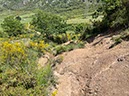 %_tempFileNameSicilie10-Monte%20Rotondo-24-1%