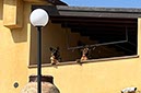 %_tempFileNameSicilie10-Monte%20Rotondo-35-1%
