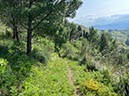 %_tempFileNameSicilie10-Monte%20Rotondo-44-1%