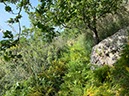 %_tempFileNameSicilie10-Monte%20Rotondo-45-1%